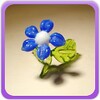 Glass Flower Gallery icon