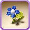 Glass Flower Gallery 图标