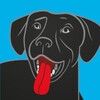 Icono de BringFido Pet Friendly Hotels
