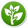 Medicinal Plants icon