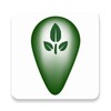 Green Travel icon