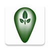 Icon von Green Travel