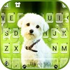 Cute Innocent Puppy Keyboard B icon