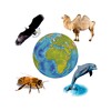 Tierwelt Geräusche icon