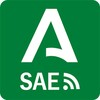 ไอคอน SAE. Servicio Andaluz de Empleo