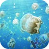 Jellyfish Video Live Wallpaper icon