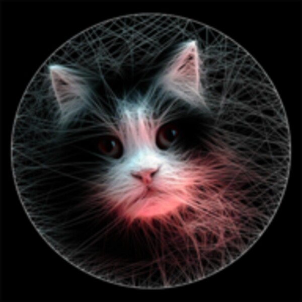 String Art Maker for Android - Download the APK from Uptodown