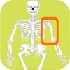 Skeleton bones, guess what is icon