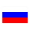 Russian Verbs Flash Cards icon