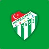 Bursaspor icon