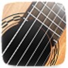 Guitar Tuning Helper icon