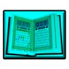 Al Qur an juz 1-30 complette icon