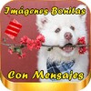 Imagenes Bonitas Con Mensajes icon