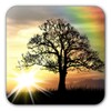 Sun Rise Live Wallpaper - Free icon