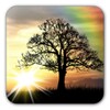 Icona di Sun Rise Live Wallpaper - Free