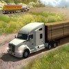 Truck Simulator :Euro Truck 3D icon