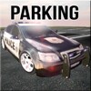 parkingpolice icon