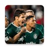 أيقونة Papeis de parede de Palmeiras