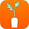 Ikon CARROT Wellness