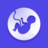 Pregnancy Calculator icon