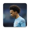 Sane Wallpapers icon