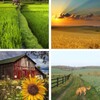 Farming Wallpaper: HD images, Free Pics download icon