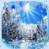 Snow n Sun Live Wallpaper icon