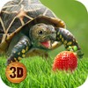 Turtle Simulator: House Life icon