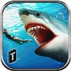 Angry Shark 2016 icon