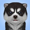 Dog Simulator icon