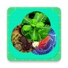 Icono de Cây thuốc, Vị thuốc, Biệt dược