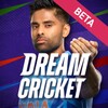 Dream Cricket 2024 icon