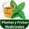 Remedios Caseros Naturales par icon