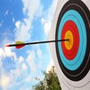 archery 3d shoot - sport game icon