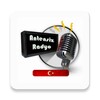 Antensiz Radyo icon