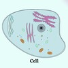 Cell Biology icon