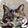 Finde die Katze 2 icon