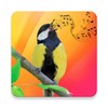 Bird Sounds, Calls & Ringtones icon