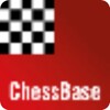 Search - Chess players 图标