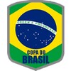 Copa Brasil FAN icon