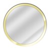 mirror app with camera icon