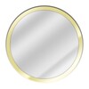 Icon von mirror app with camera