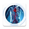 Anatomy & Physiology Quiz icon