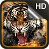 Tigre Fondos Animados icon