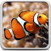 Aquarium Live Wallpaper आइकन