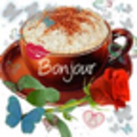 HOW DO I UPGRADE BONJOUR intelligence overview