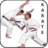 Икона Karate