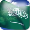 3D Saudi Arabia Flag LWP icon