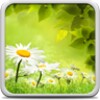 Spring Meadow Live Wallpaper icon
