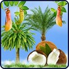 Tropic HD icon